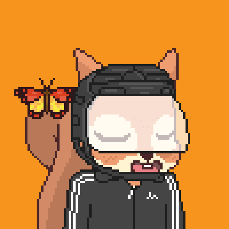Pixel Squirrels #3760